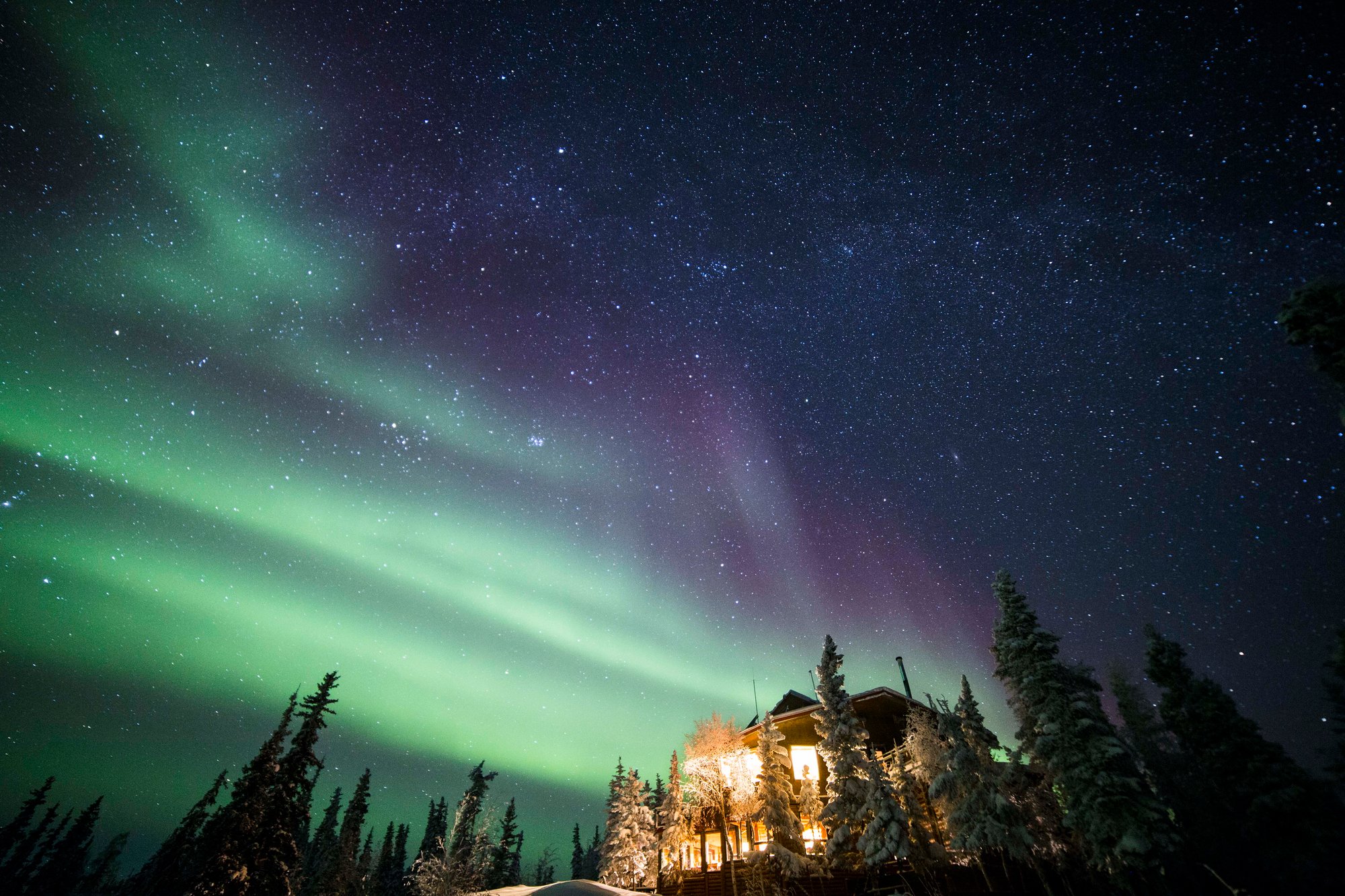 Aurora Main Lodge Stars Purple Green_Martina Gebarovska_Winter-1